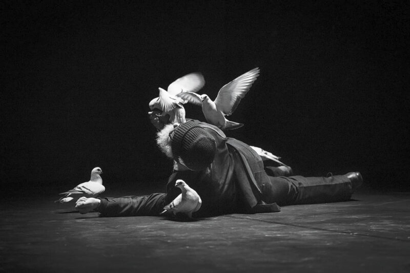 Falaise - Photo © François Passerini